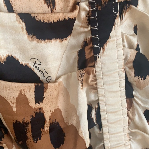Roberto Cavalli Silk Dress - Picture 9 of 11